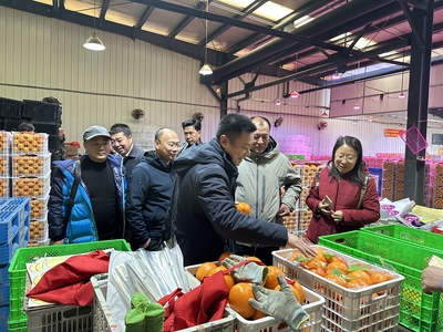奉節臍橙產業協會赴沈陽地利批發市場考察調研
