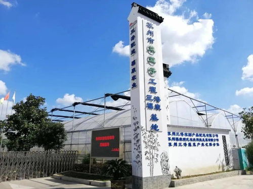 紓難解困，精準(zhǔn)服務(wù) 賦能農(nóng)副產(chǎn)品企業(yè)高質(zhì)量發(fā)展